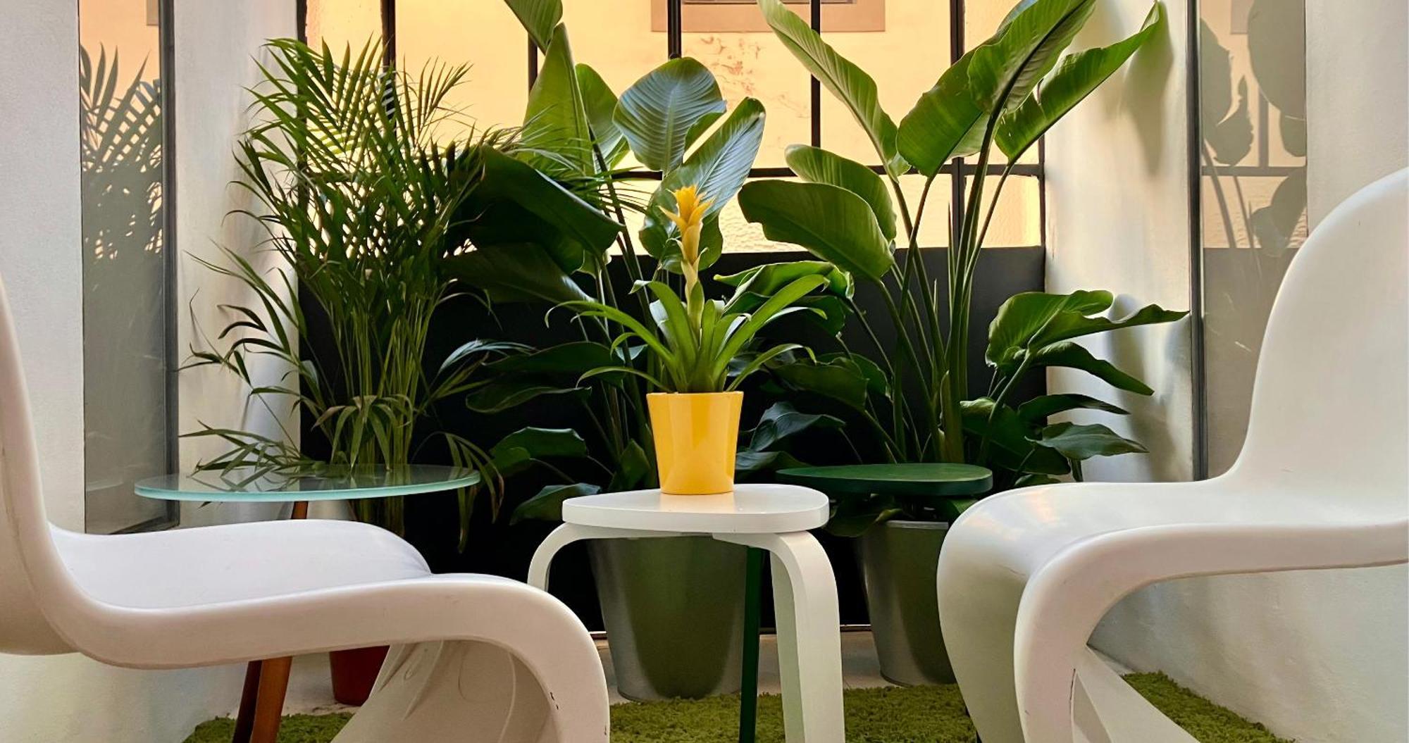 Apartamento Lusso A Con Palestra